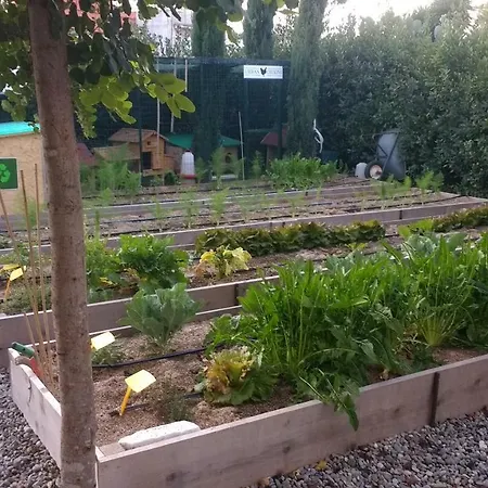 Lejlighed Masseria Urbana Crispiano