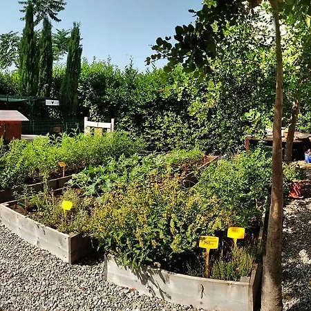 Masseria Urbana Apartmán Crispiano